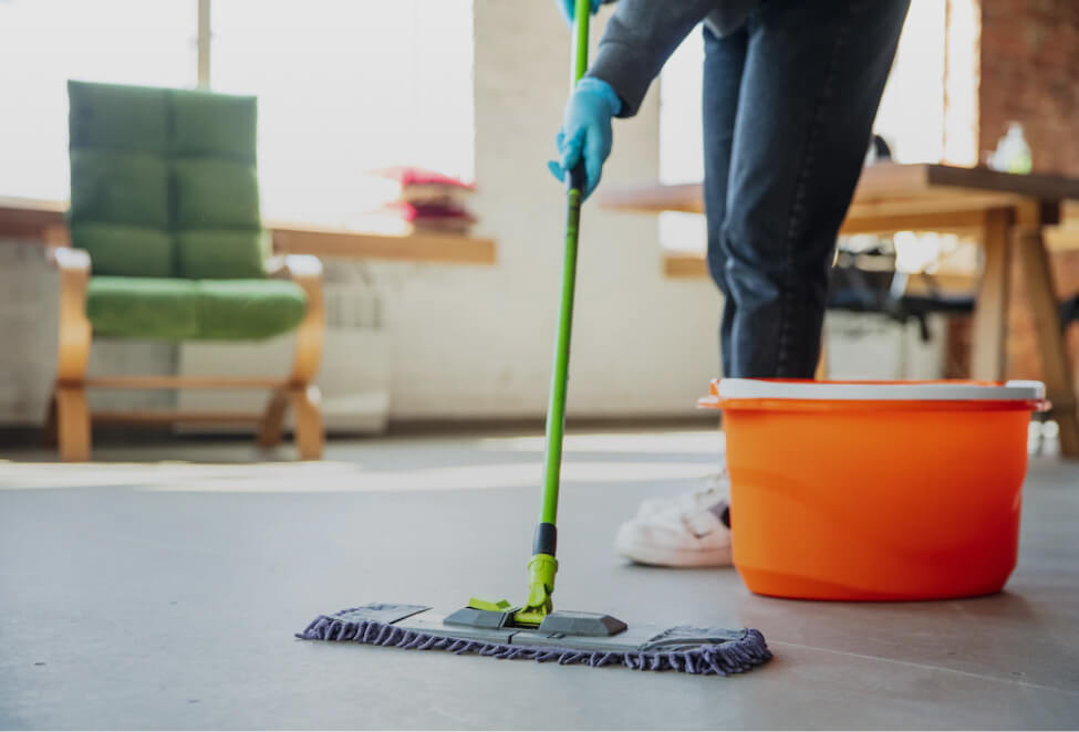 Regular House Cleaning